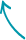 vector (1)